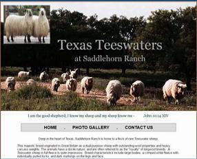 Texas Teeswaters - Harper, TX